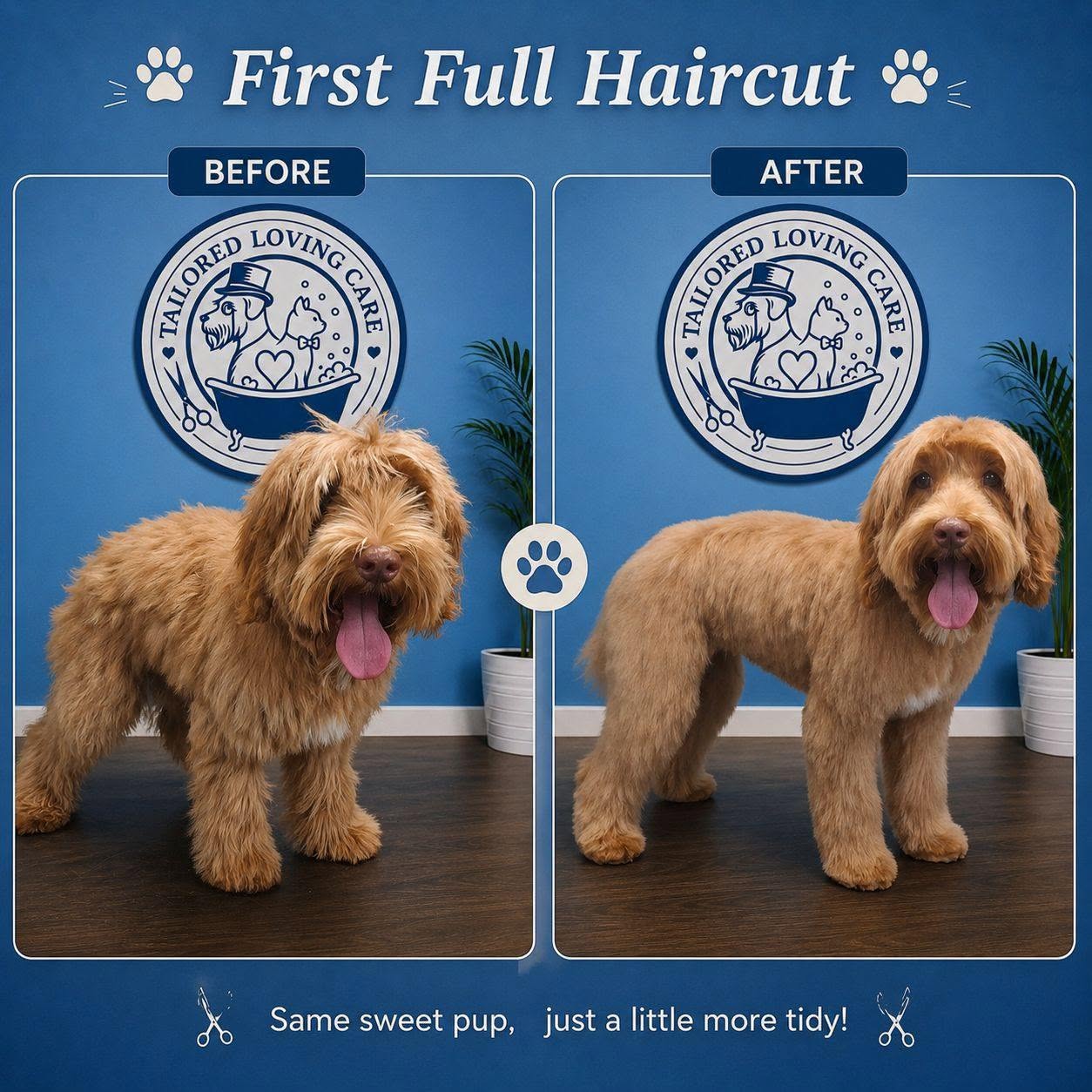 Tailored Loving Care grooming client